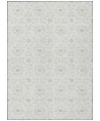 Chantille Machine Washable ACN734 8'x10' Area Rug
