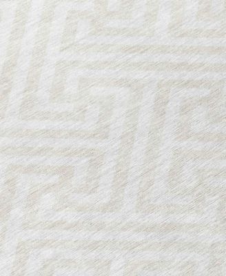 Chantille Machine Washable ACN731 9'x12' Area Rug