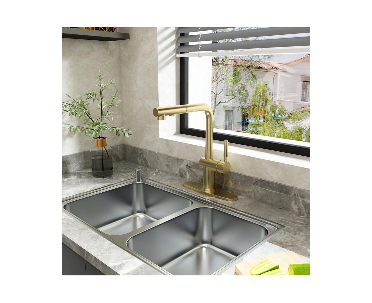 Casainc Single-Handle Pull Out Kitchen Single Hole Faucet with Deck Plate
