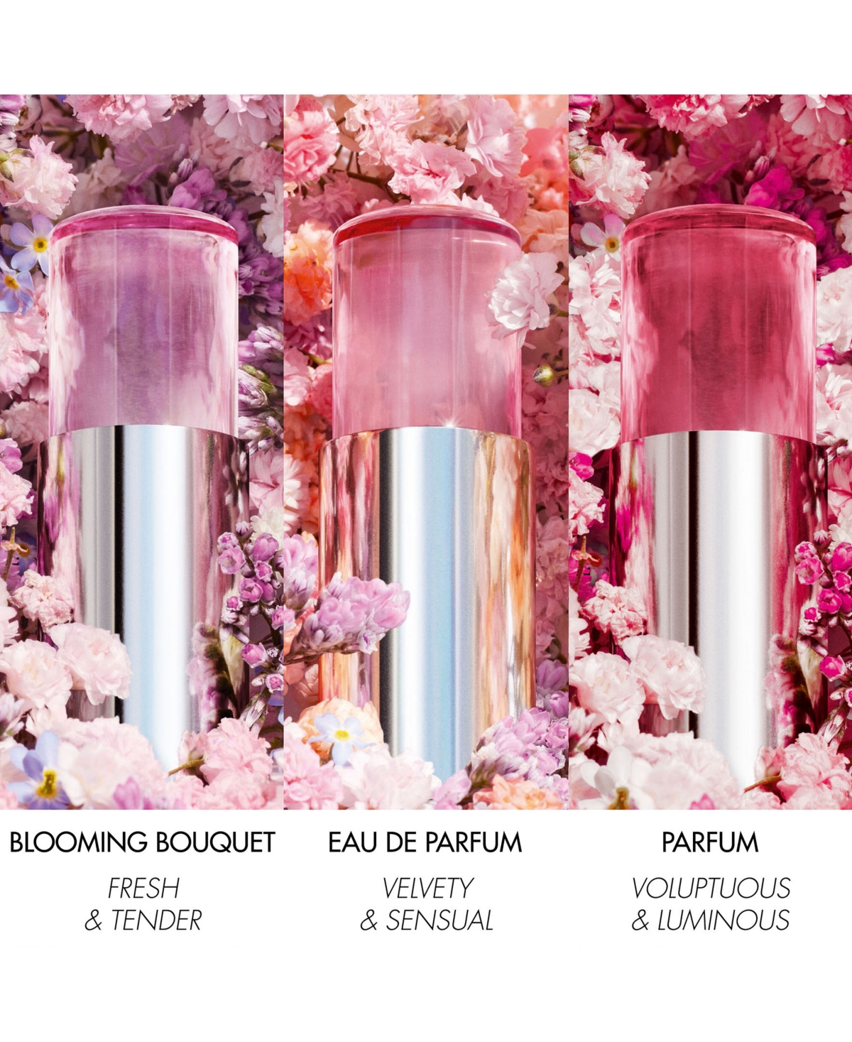 Dior Miss  Mini Miss Eau De Parfum Solid Perfume 0.11 oz / 3.2 G Eau De Parfum Solid Perfume In No Color