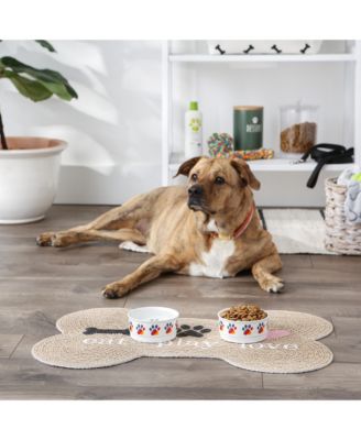 Rainbow Paw Pet Bowl Set/2