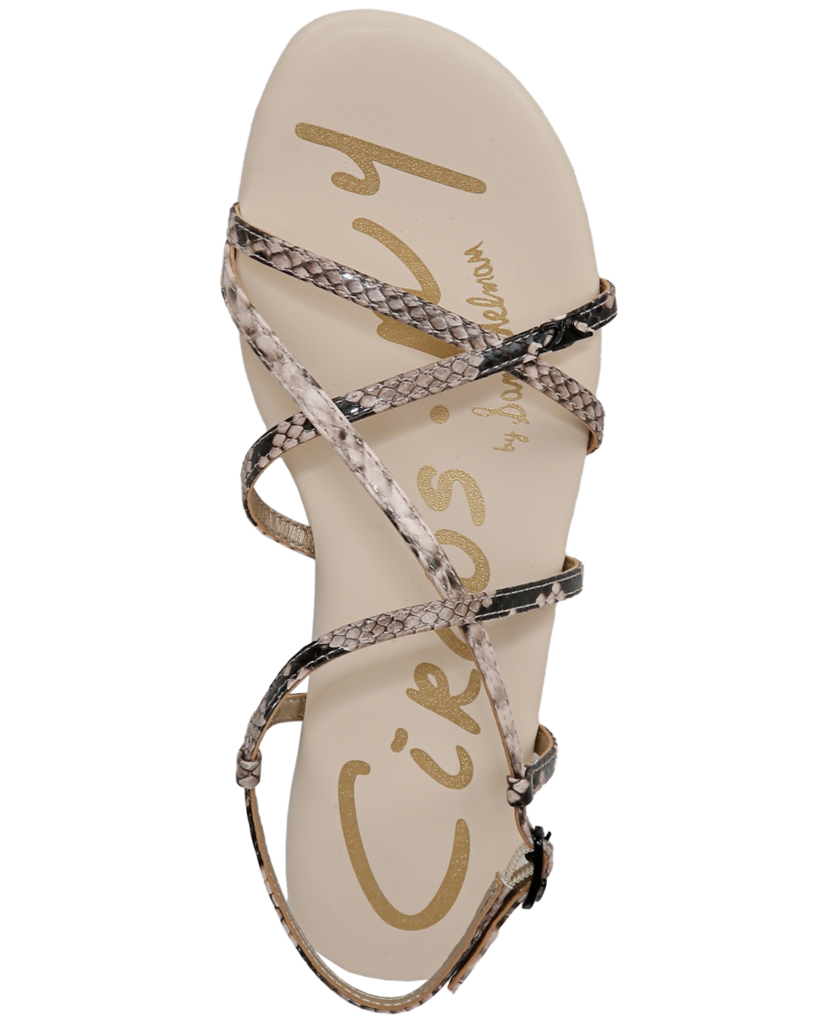 Circus Ny By Sam Edelman Rebecca Strappy Flat Sandals In Mocha Snake Multi