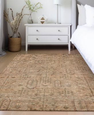 Chantille Machine Washable ACN790 9'x12' Area Rug