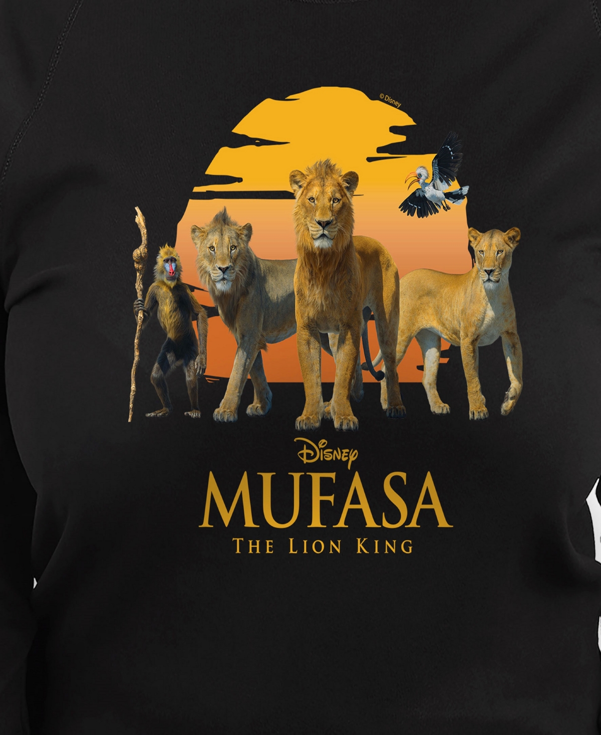 Hybrid Apparel Plus Size Disney Mufasa Graphic Crew Neck Top In Black