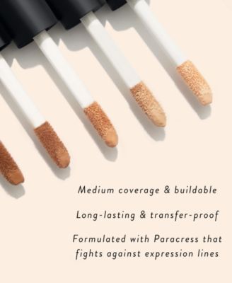 The Ideal Fix Concealer