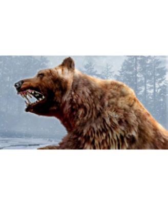 Cabela's Dangerous Hunts 2011 - PlayStation 3