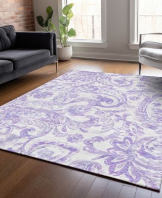 Chantille Machine Washable ACN835 5'x7'6" Area Rug
