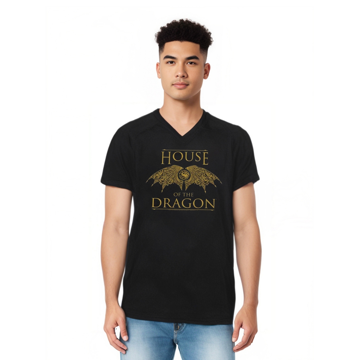 Men's Dragon Wings Short Sleeve Adult V Neck Premium Cotton Tee / T-Shirt - Black