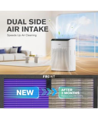 MR5866 Air Purifier Replacement Filter, True HEPA Filter Compatible with MR5866, Multifunctional Version, 2 Pack