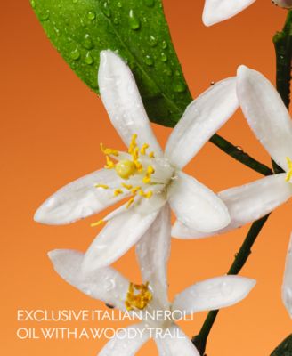 The Alchemist's Garden Fiori di Neroli Eau de Parfum, 3.3 oz.