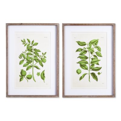 Napa Home & Garden