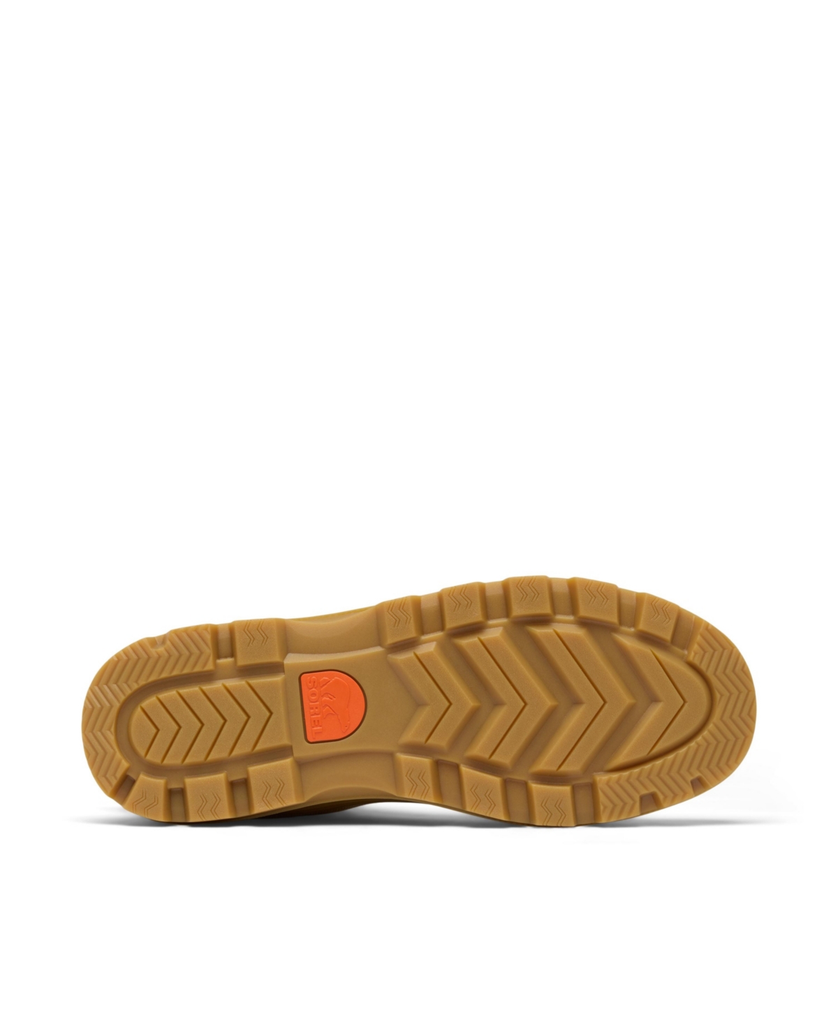 Sorel Scout N About Sneakers In Brown