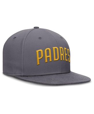 Men's Gray San Diego Padres Performance True Fitted Hat