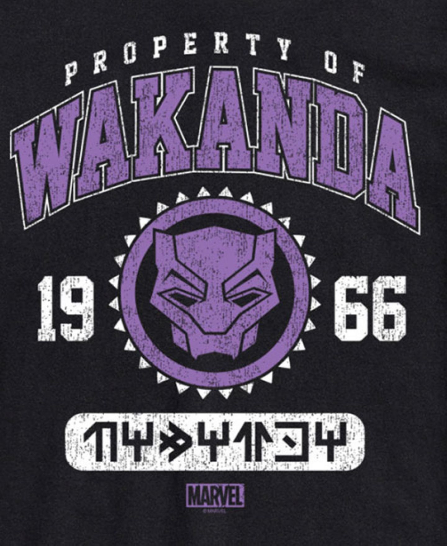 Мужская футболка AIRWAVES Black Panther Wakanda Short Sleeve — фото 3