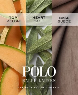 Men's 3-Pc. World Of Polo Fragrance Discovery Gift Set