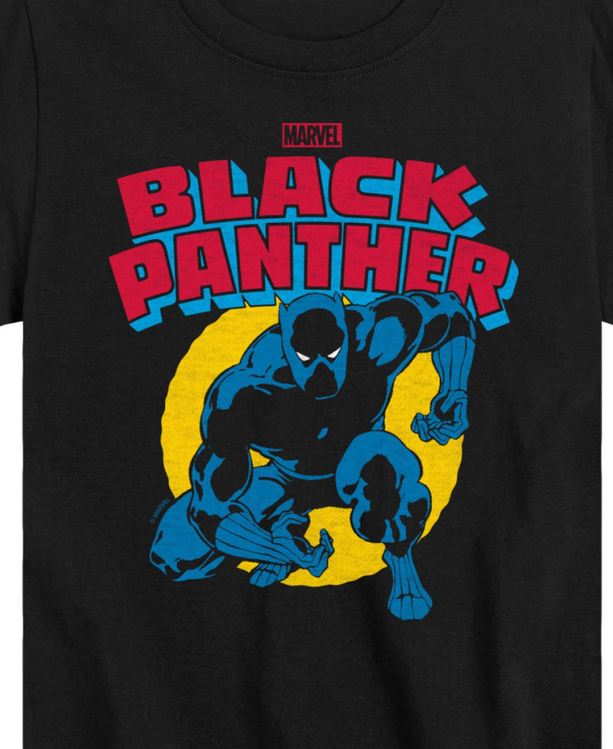 Hybrid Big Boys Black Panther Graphic T-shirt In Black