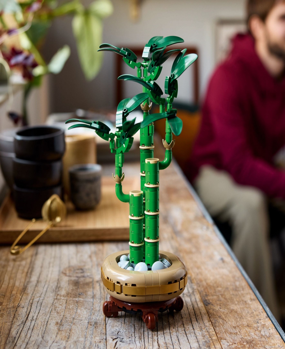 Lego Botanicals Lucky Bamboo Building Set 10344, 325 Pieces In Multi Color
