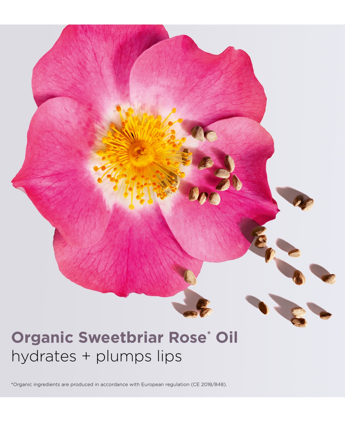 Clarins Lip Comfort Oil 0.24 Oz. In Black