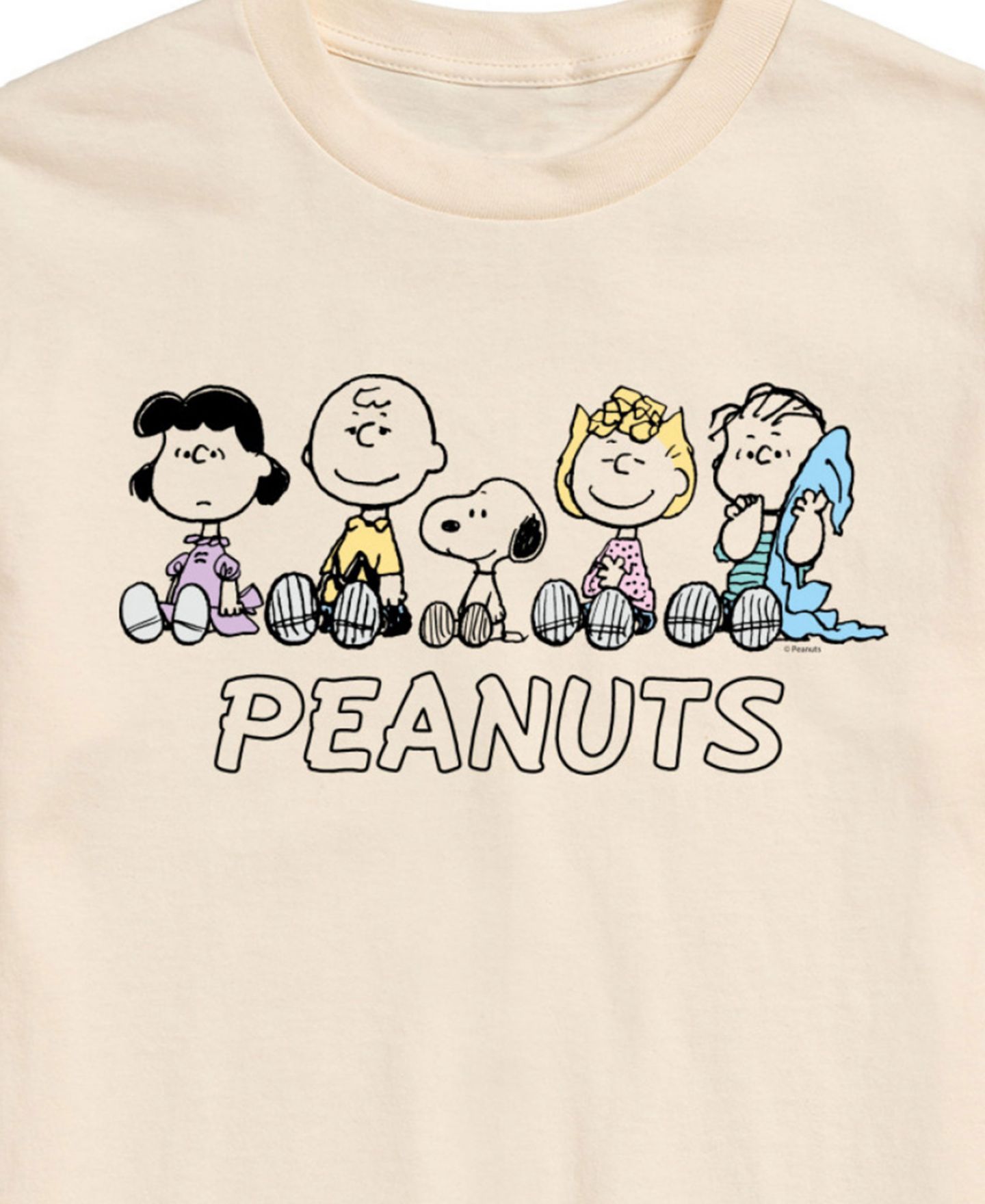Мужская футболка AIRWAVES Peanuts Group Short Sleeve, цвет: Бежевый — фото 3