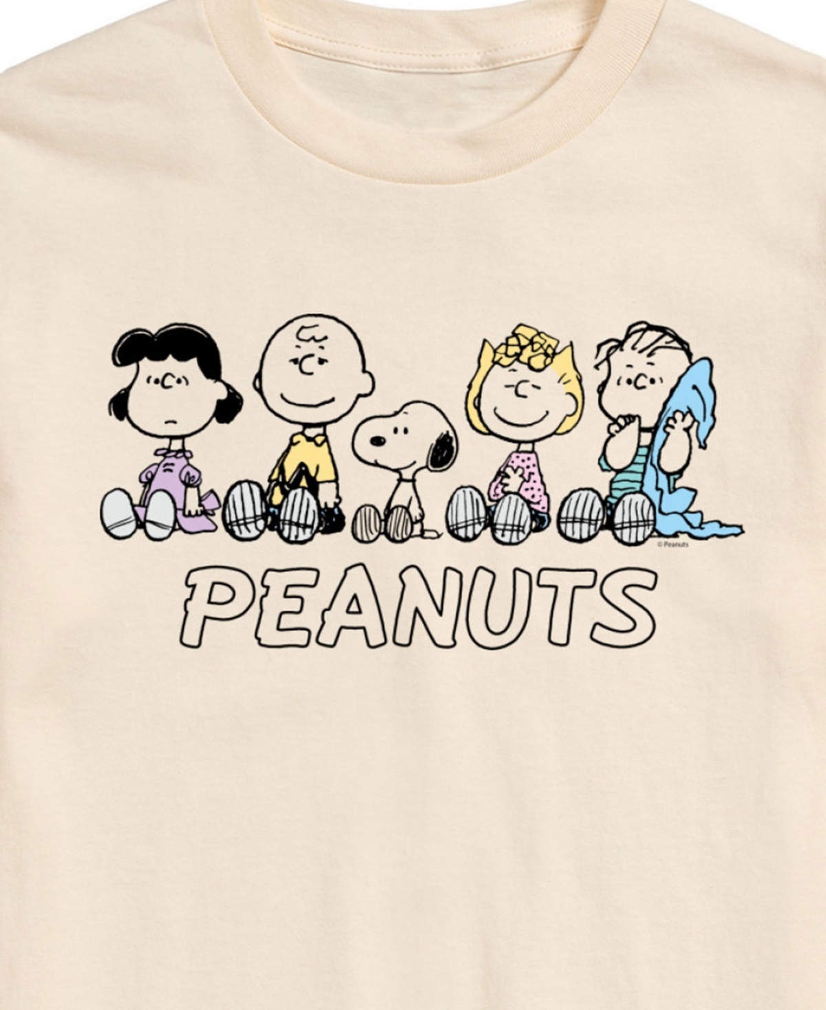 Airwaves Men's Peanuts Group Short Sleeve T-shirt In Beige