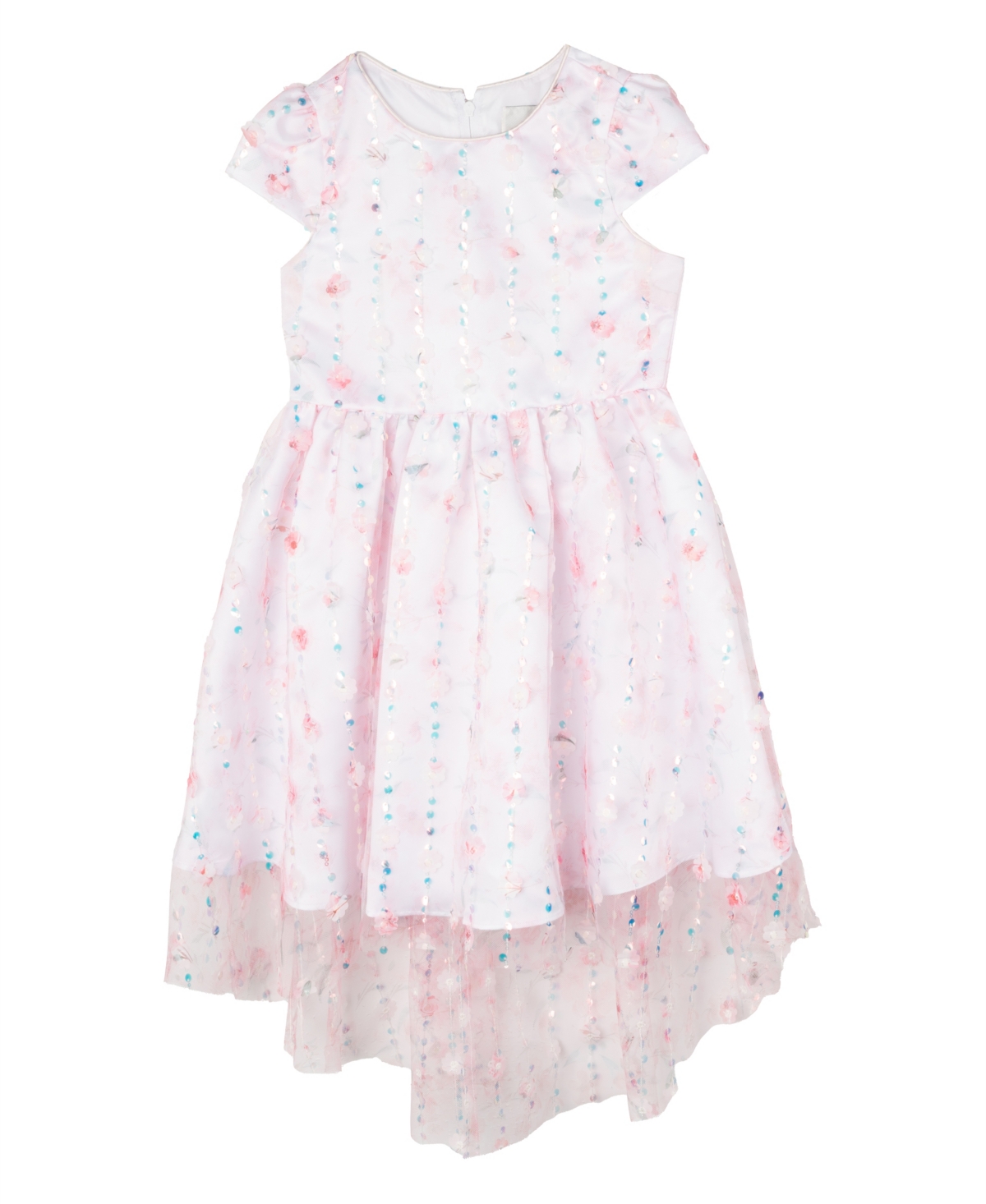 Shop Rare Editions Toddler And Little Girls Floral Mesh With Embroidered Sequin Social Dress In Blush