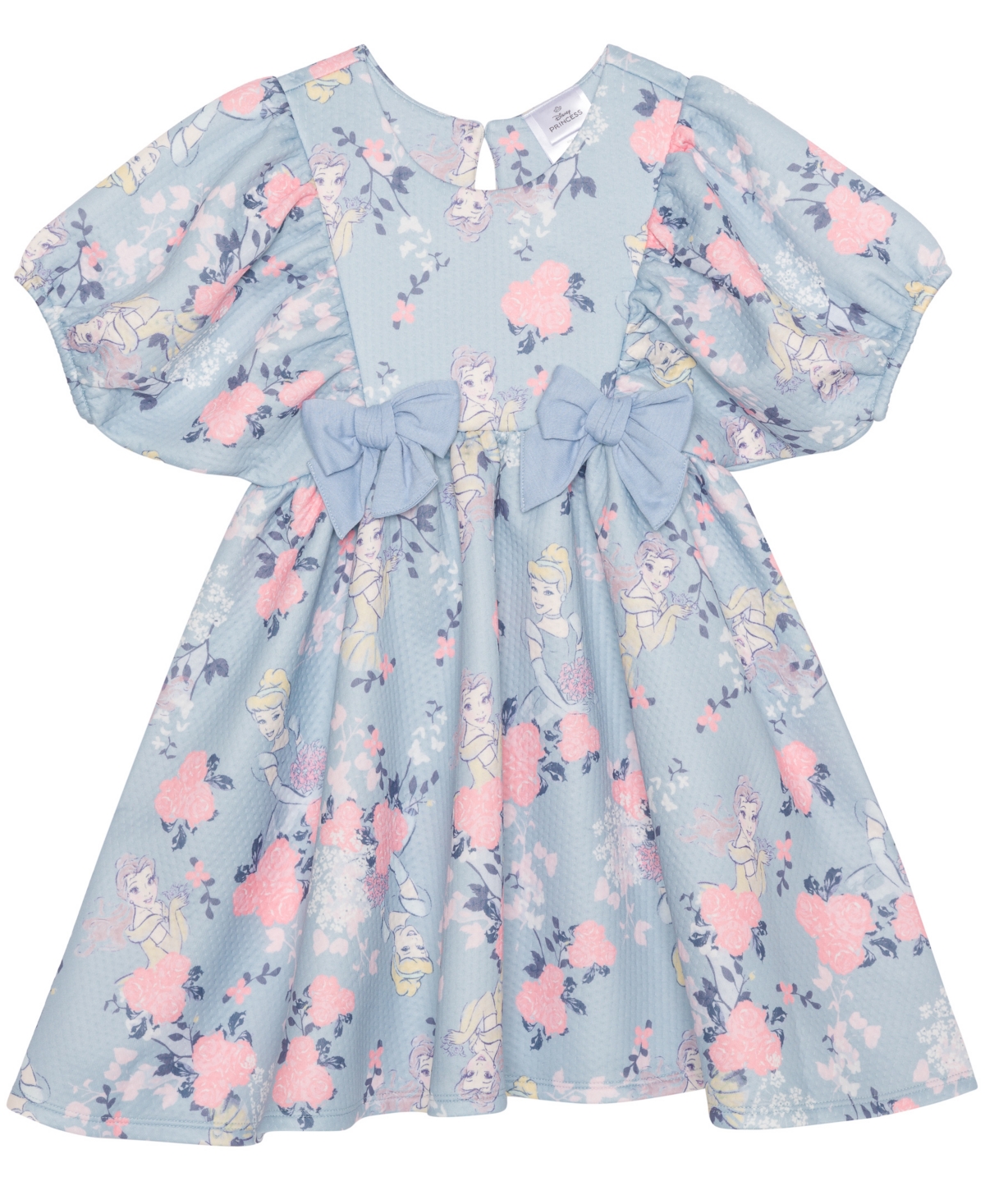 Disney Toddler And Little Girls Princess Flower Short Sleeve Dress In Blue