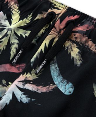 Toddler Boys Rash Guard Top & Swim Shorts, 2 Piece Set