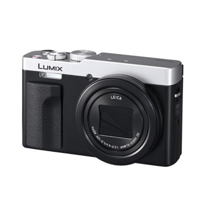 LUMIX ZS99 Compact Point and Shoot Digital Camera (Silver)