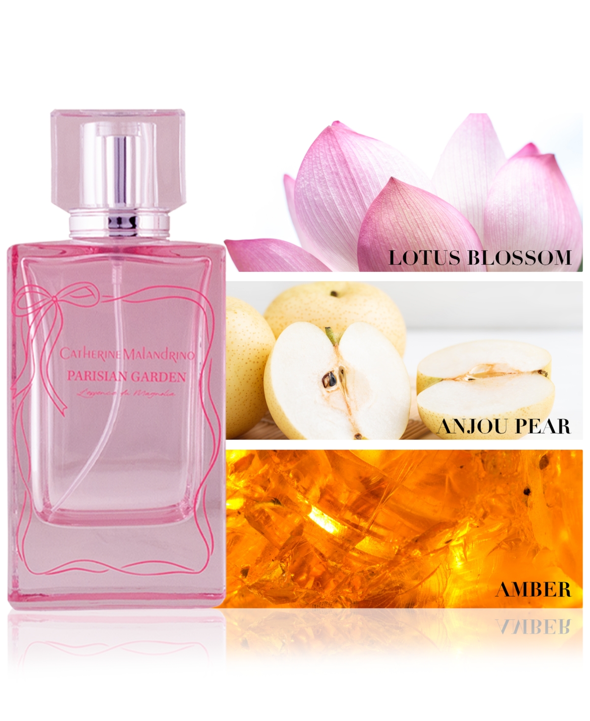 CATHERINE MALANDRINO 3-PC. PARISIAN GARDEN EAU DE PARFUM GIFT SET 