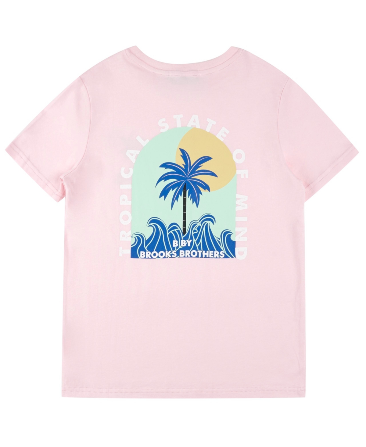 Brooks Brothers Big Boys Tropical Graphic T-shirt In Light Coral