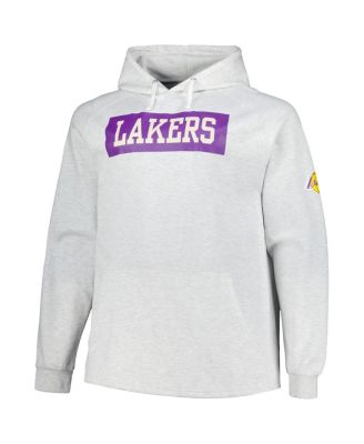 Men's Ash Los Angeles Lakers Big Tall Raglan Tri-Blend Pullover Hoodie