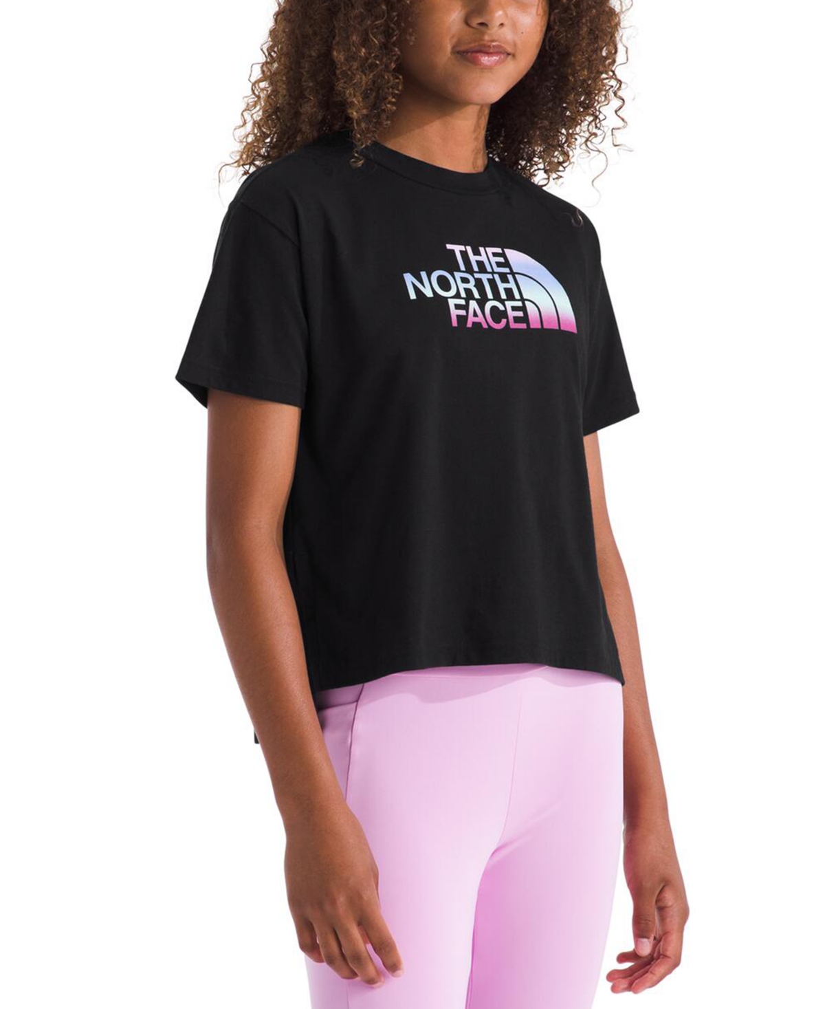 The North Face Big Girls Gradient Half Dome Graphic Cotton T-shirt In Tnf Black