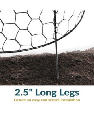 Chicken Wire Plant Protector Cage - Garden Cloche with Removable Cover - 6 Pack - Protects from Rabbits and Animals