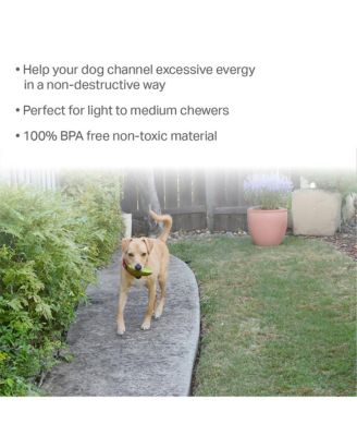 Hedgehog with tennis ball Dog Toy