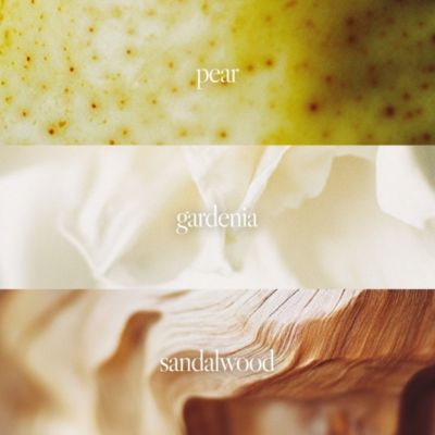 n,008 Say Yes Eau de Parfum 100ml – A Captivating Blend of Pear, Jasmine & Sandalwood | Modern Unisex Luxury Fragrance