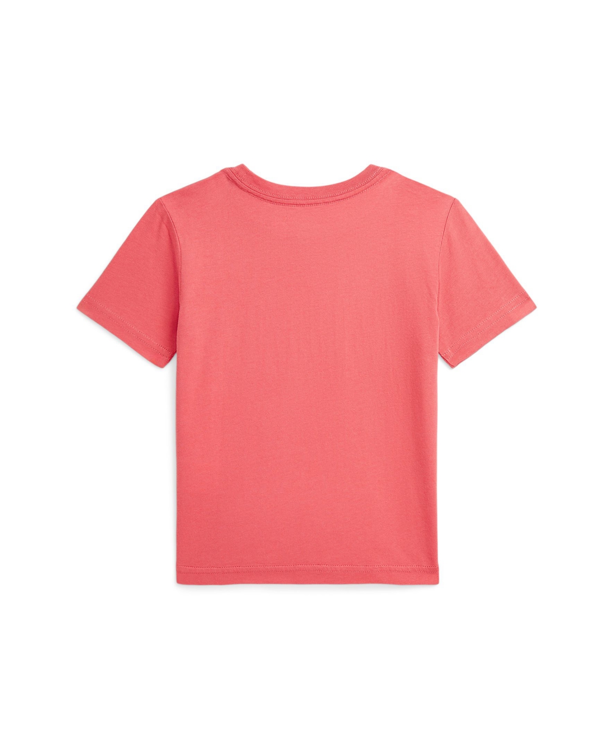 Polo Ralph Lauren Big Boys Madras-logo Jersey T-shirt In Red Sky