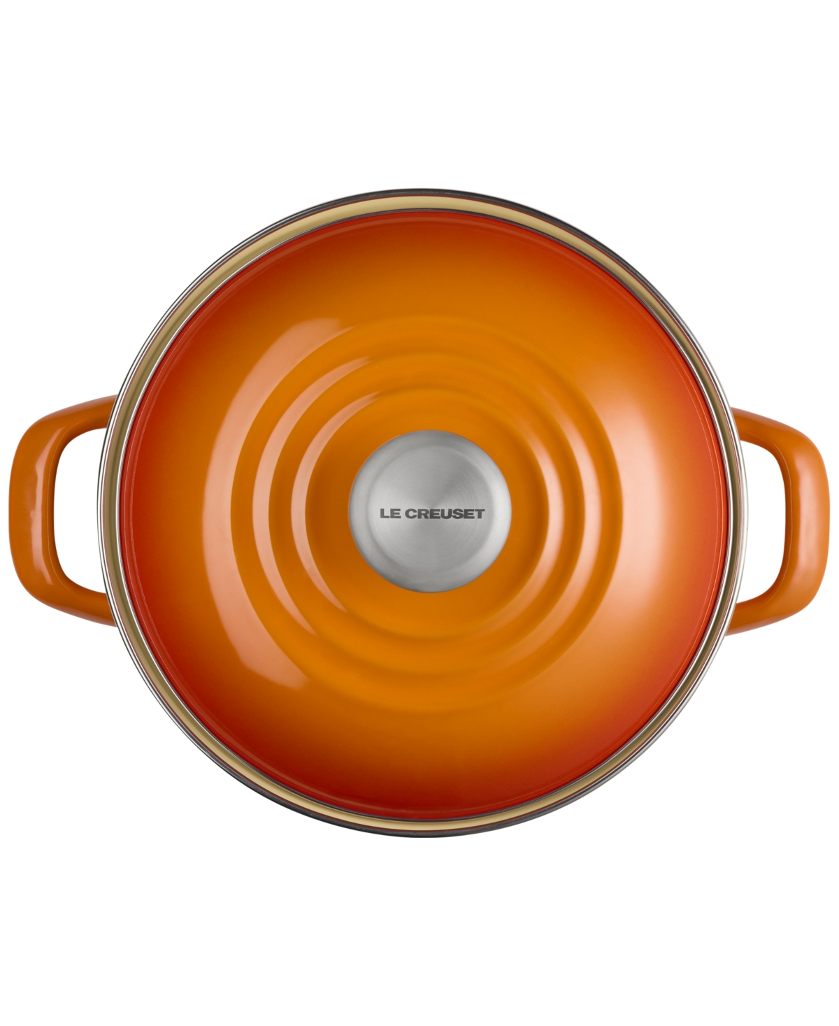 Le Creuset 6-quart Enameled Stainless Steel Stock Pot In Flame