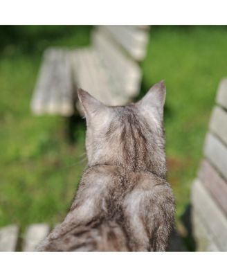 Sigma 28-45MM F1.8 DG DN ART Lens for L Mount