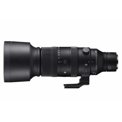 60-600mm f/4.5-6.3 DG DN OS Sports Lens for L Mount