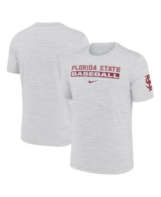 Nike - Men's  Ash Florida State Seminoles Velocity Baseball Wordmark Stack Performance T-shirt