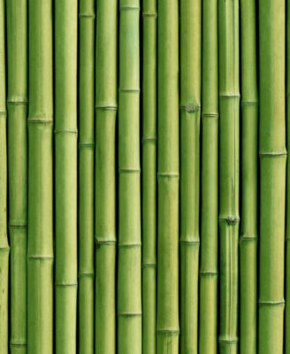 Volume Shampoo, 33.8 oz.