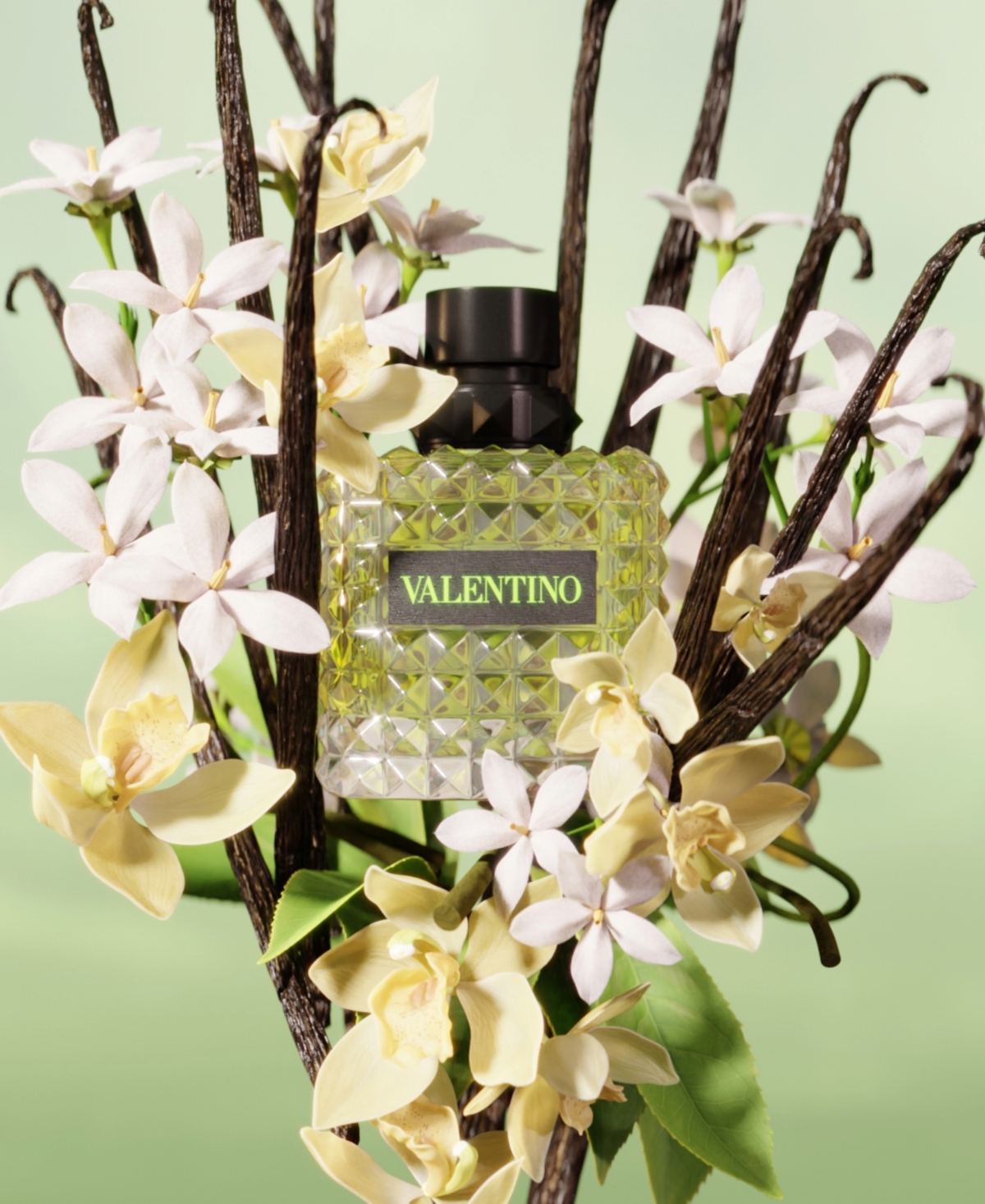 Valentino 3-pc. Donna Born In Roma Eau De Parfum Discovery Set In No Color