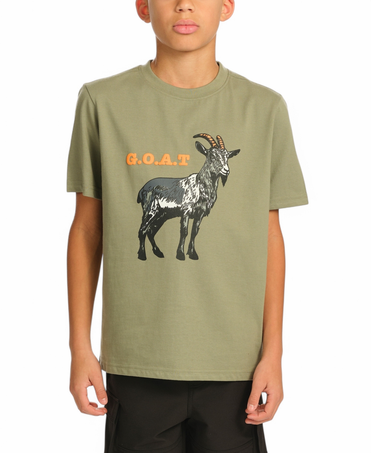 Sovereign Code Big Boys Short Sleeve T-shirt In Sage