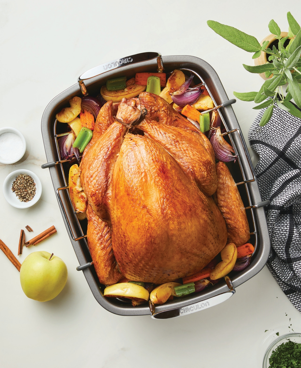 Circulon Nonstick 17" x 13" Roaster with U-Rack