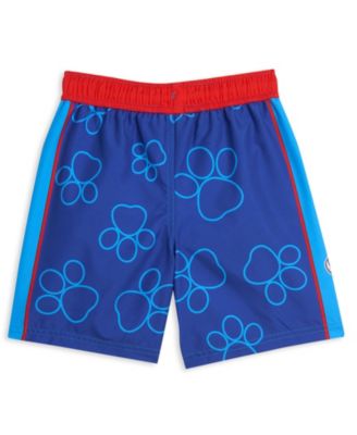 Boys Pullover Rash Guard and Swim Trunks Outfit Set