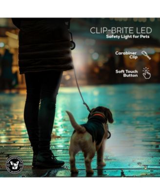 Clip-Brite LED Safety Light for Pets, High Visibility Clip-On Light for Dogs & Cats