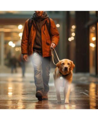 Clip-Brite LED Safety Light for Pets, High Visibility Clip-On Light for Dogs & Cats