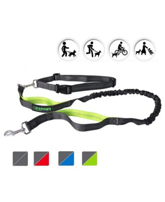 Hands Free Bungee Dog Leash - Green