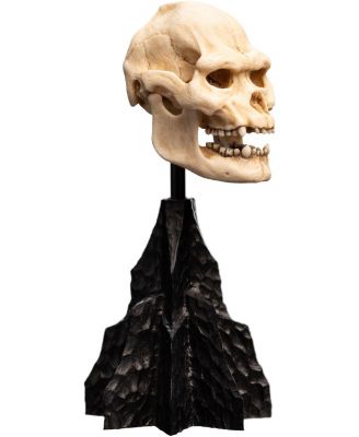 Polystone - The Lord of the Rings Trilogy - Skull of Lurtz Polystone Statue