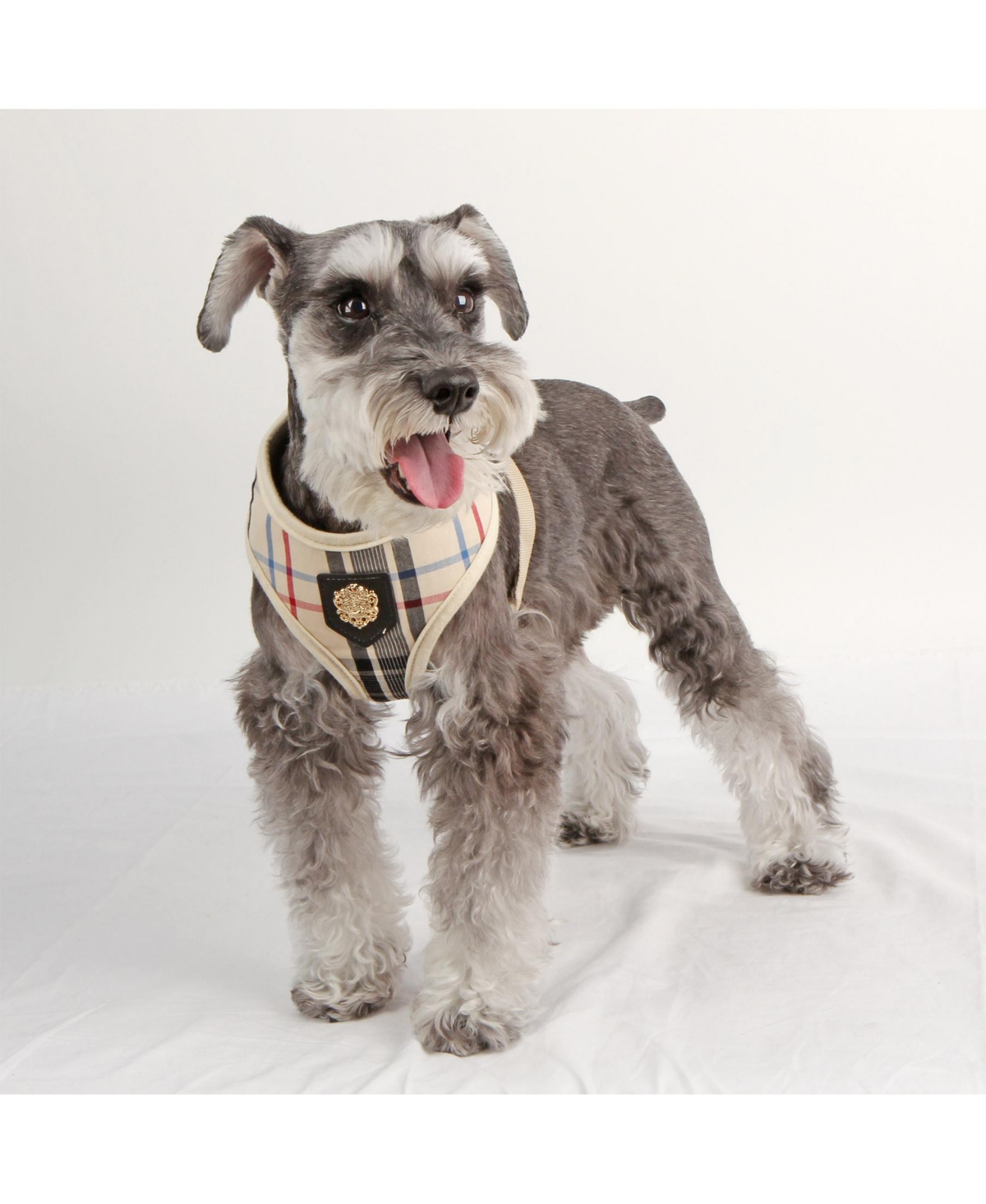 Puppia Junior Harness A